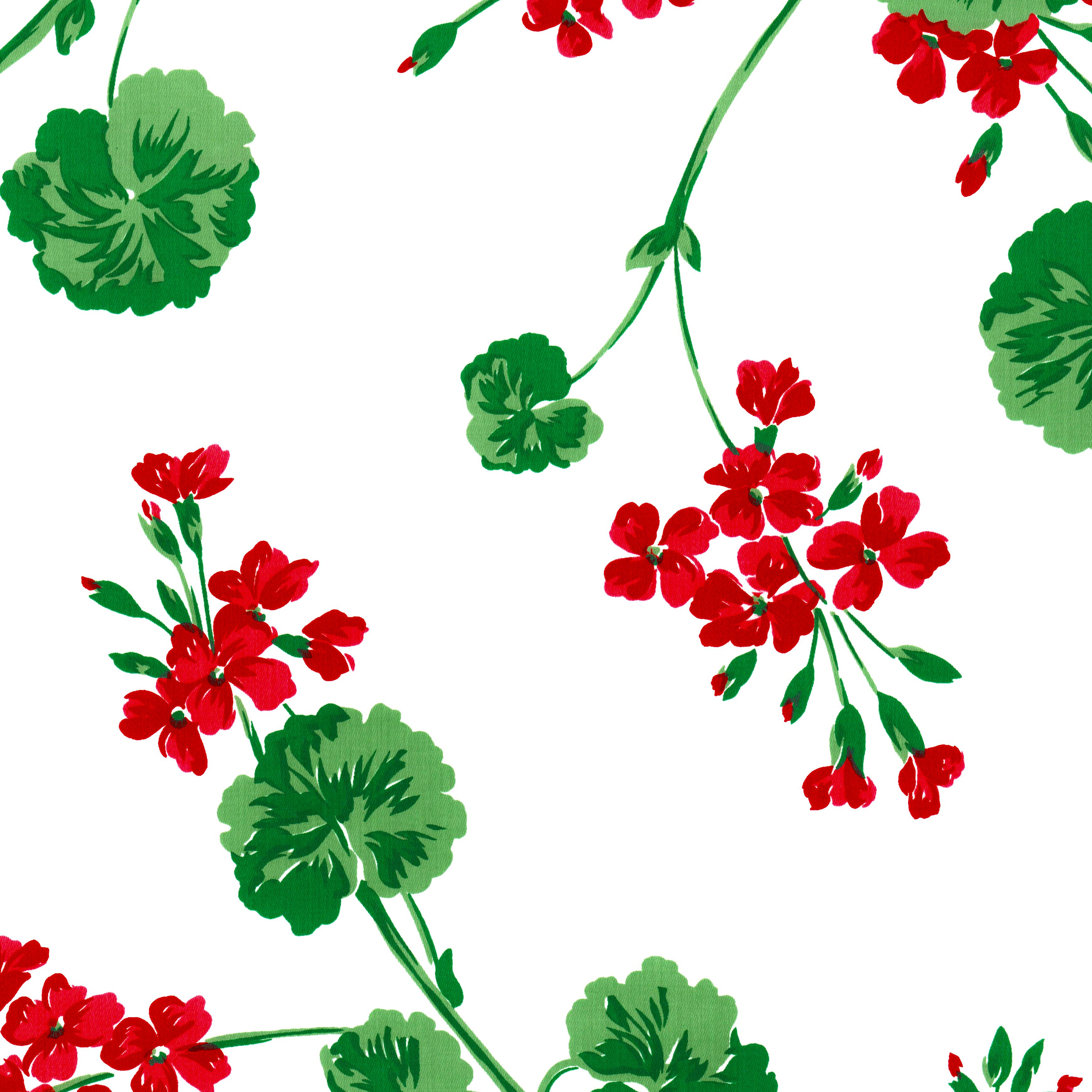 Géraniums Red Shower Cap