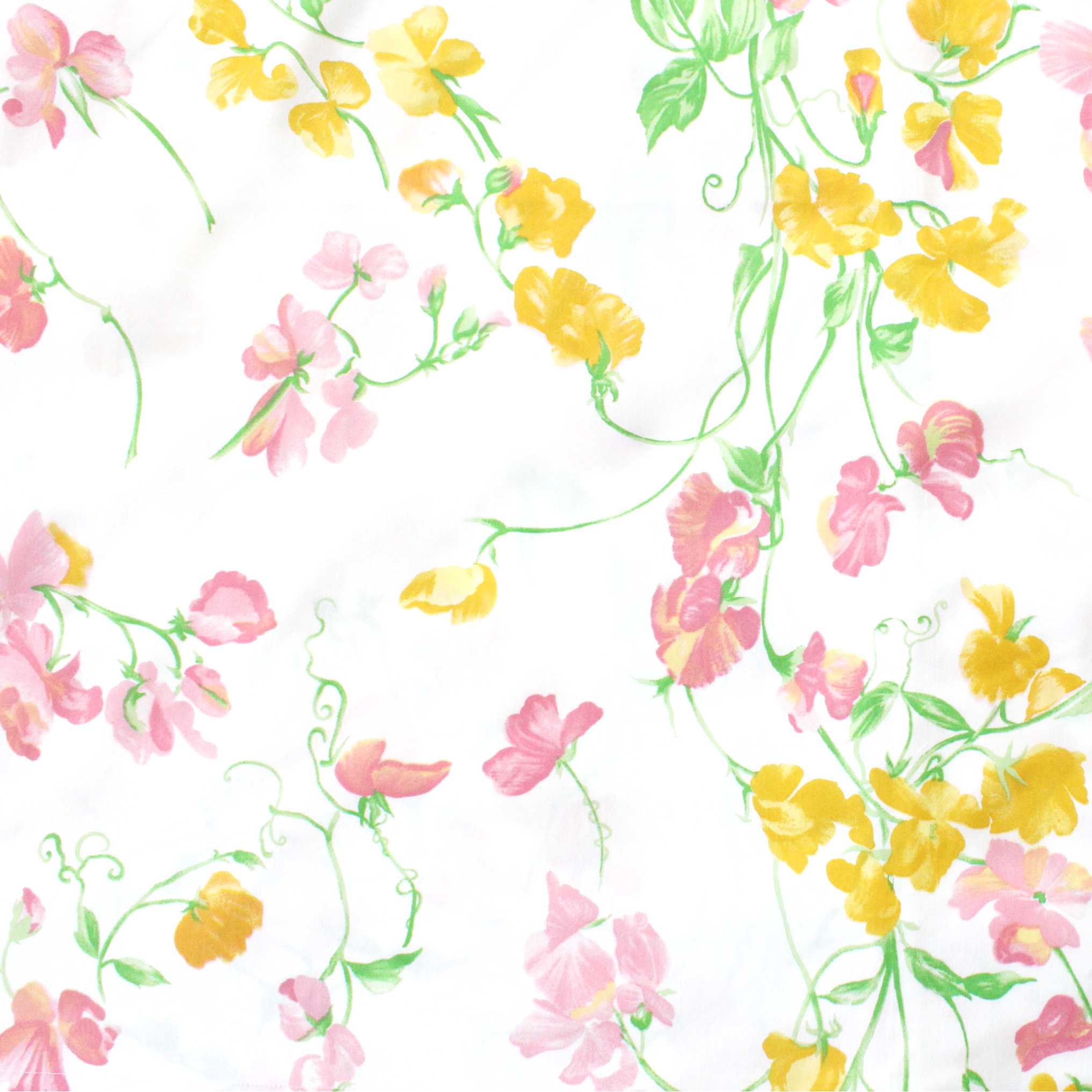 Close up of pink and yellow florals (sweet peas) with green leaves/stems, Pois de Senteur print.