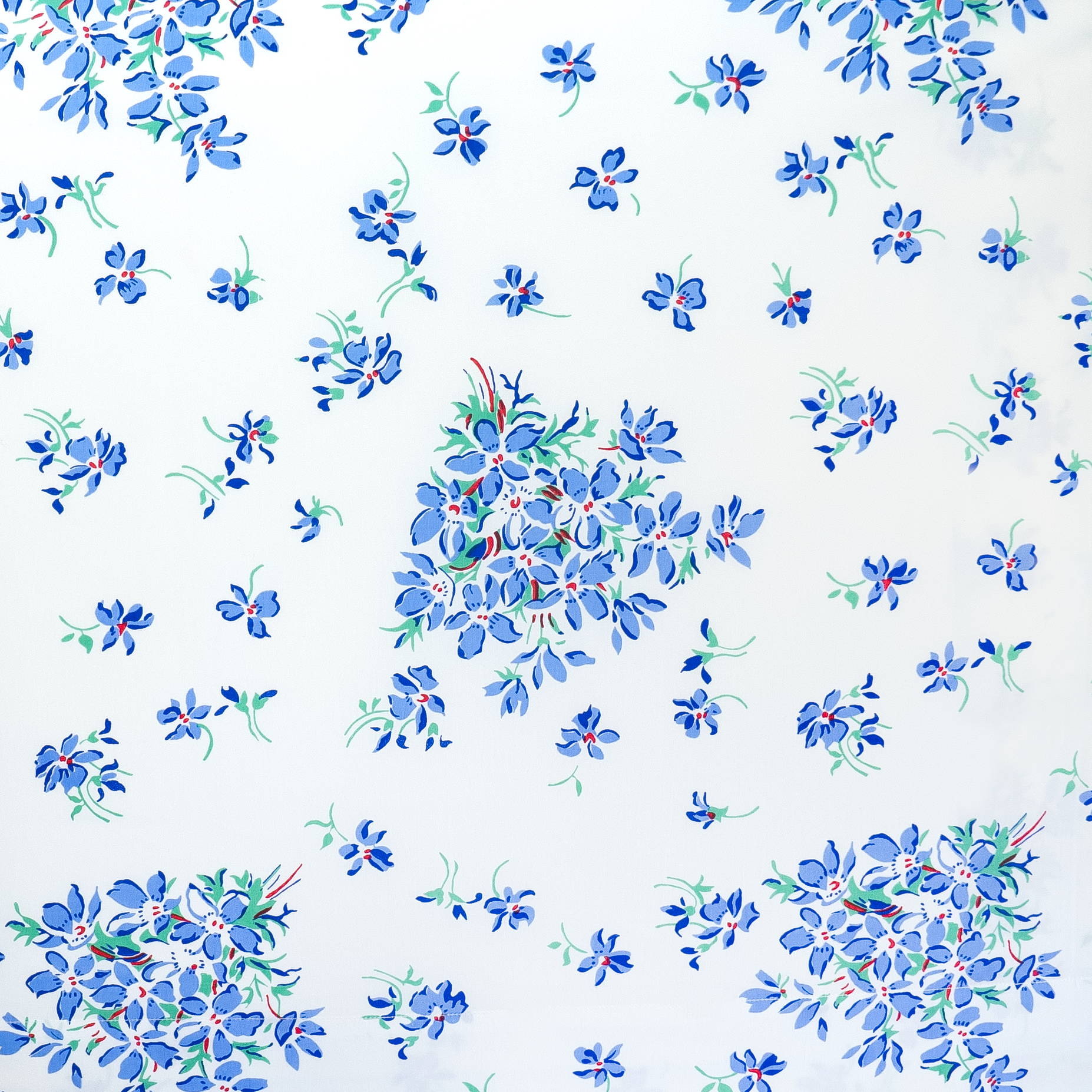 Close up of blue color floral with red center and green leaves, Violettes print.