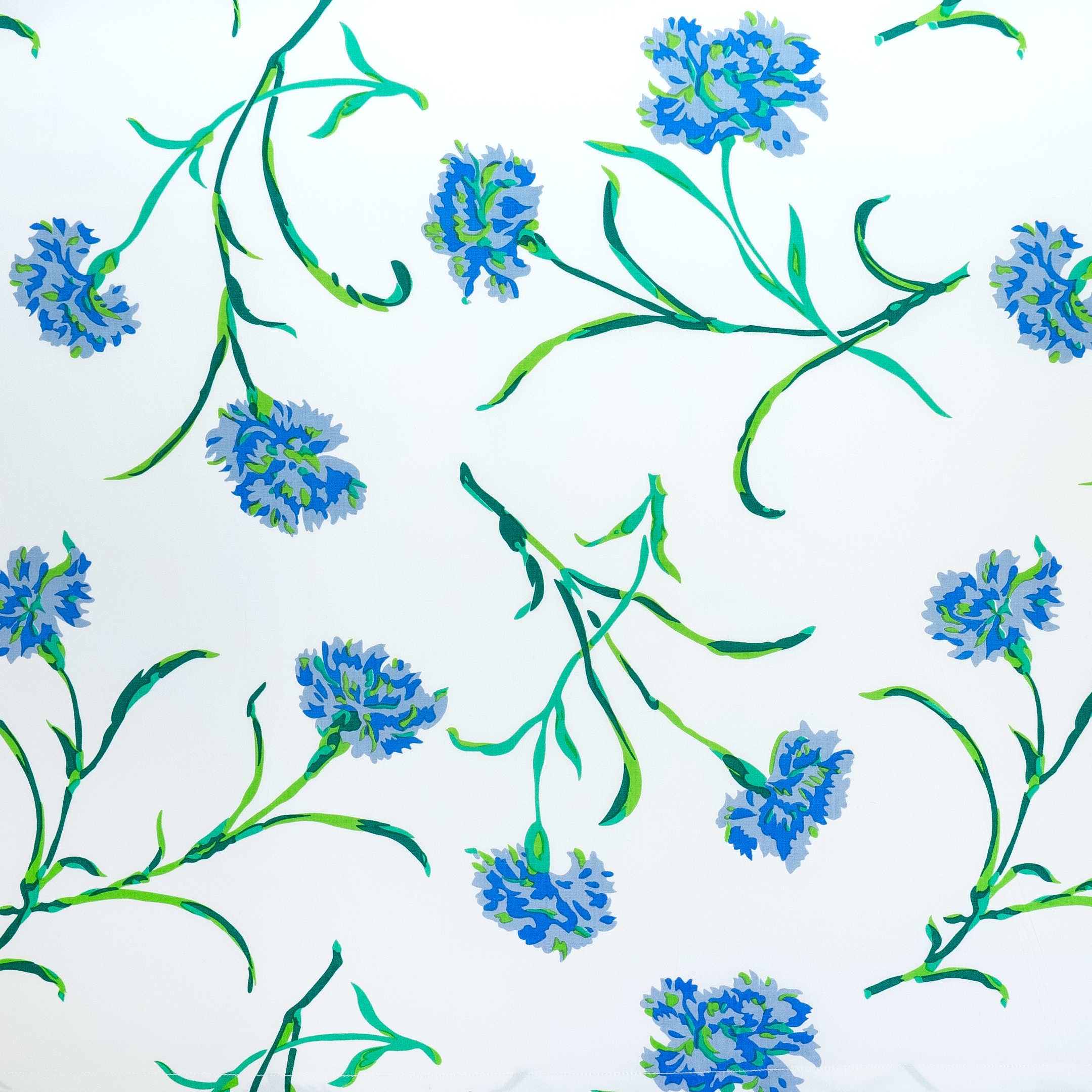 Close up of Blue and green color floral, Carnations print.