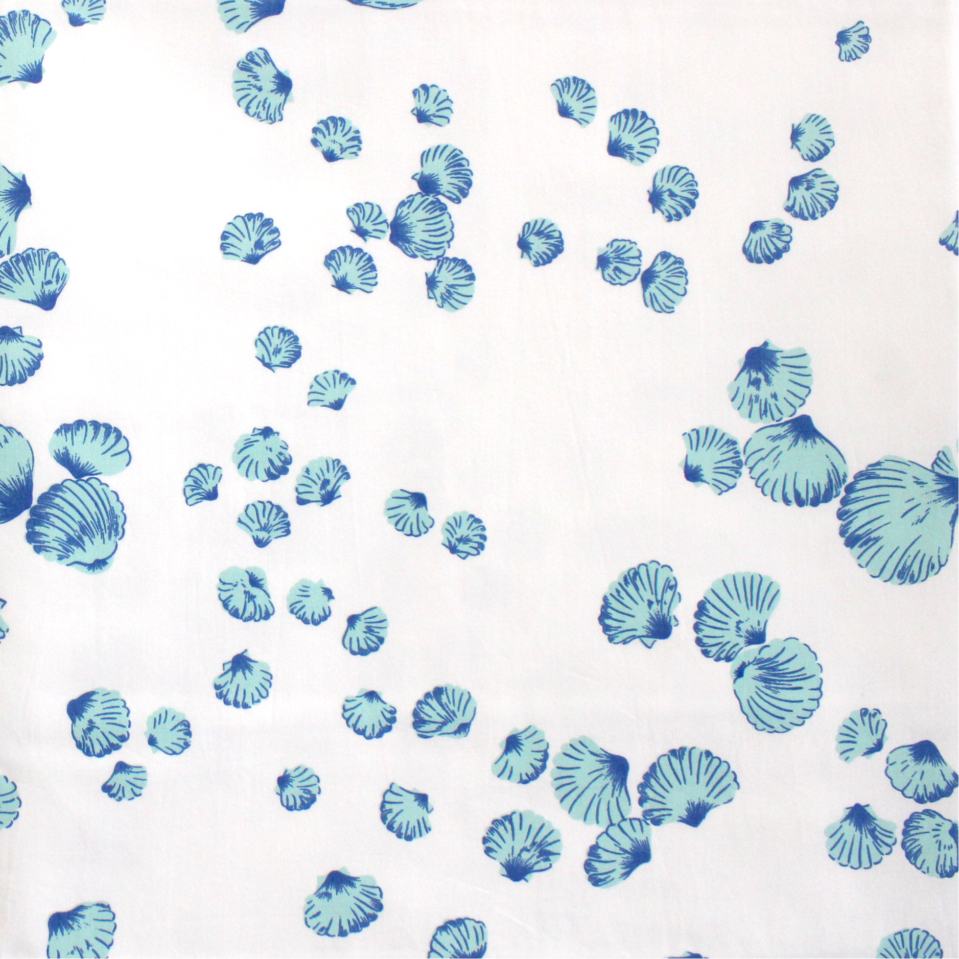 Close up of Blue seashells, Shells print