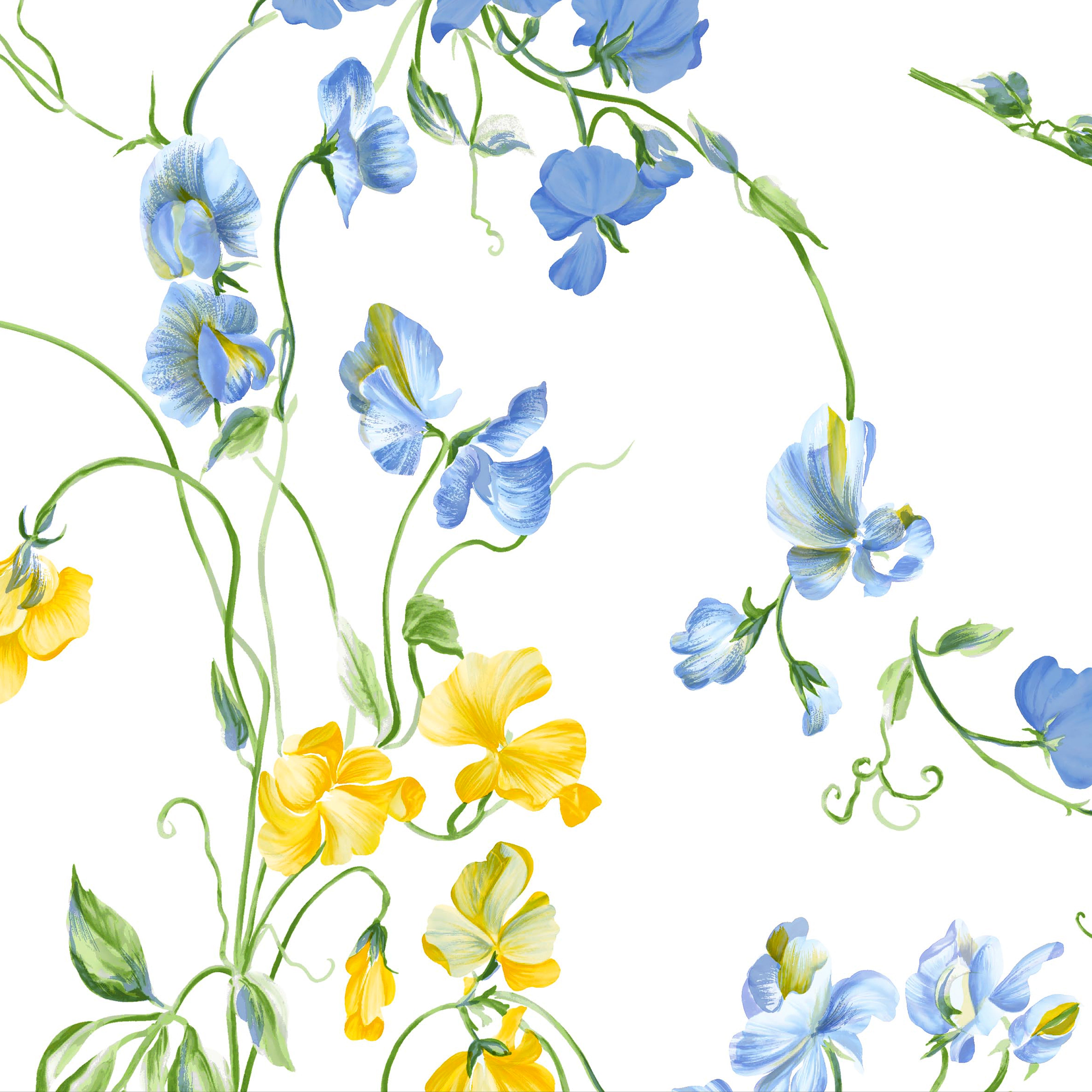 Pois de Senteur Blue/Yellow Bed Linens