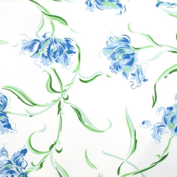 Tulipe Perroquet blue